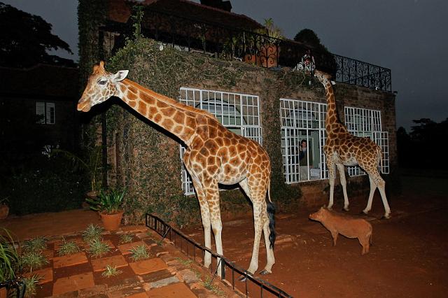 003 Kenia, Nairobi, Giraffe Manor.jpg